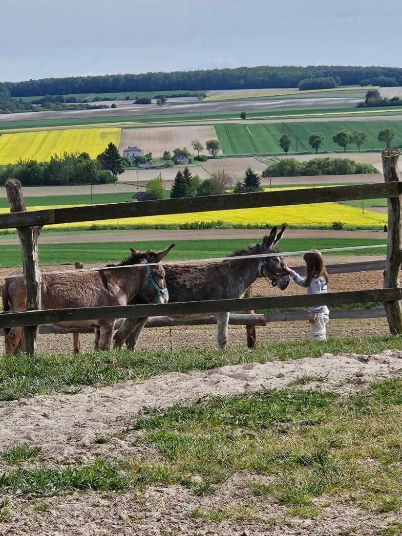 Balkanowka Krasniczyn Exteriér fotografie
